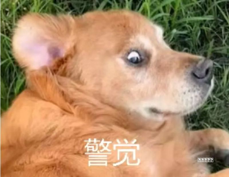 部分中小学口头全面发展，落地成绩优先？